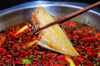 成都郫縣有沒(méi)有專業(yè)培訓(xùn)耗兒魚(yú)培訓(xùn)學(xué)校？