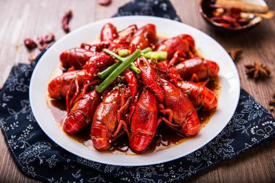 小龍蝦訓(xùn)練哪里滋味好?名師教育，不走彎路