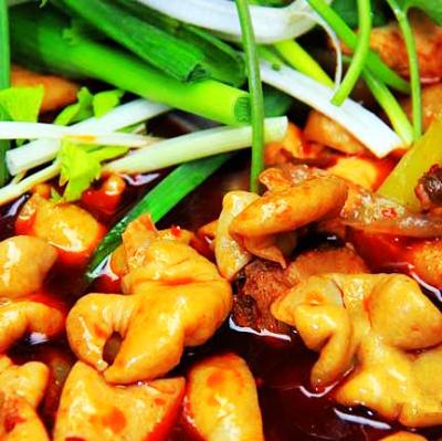 肥腸雞技術(shù)培訓(xùn)要去哪里學(xué)？